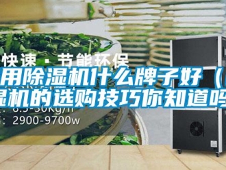 常见问题家用除湿机什么牌子好（除湿机的选购技巧你知道吗）
