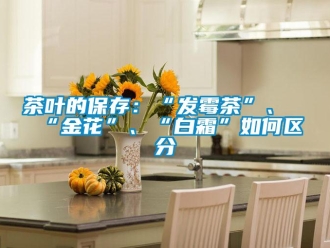 常见问题茶叶的保存：“发霉茶”、“金花”、“白霜”如何区分