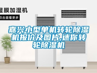 常见问题嘉兴小型单机转轮除湿机报价及图片,迷你转轮除湿机