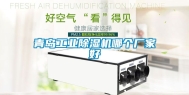 青岛工业除湿机哪个厂家好