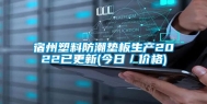 宿州塑料防潮垫板生产2022已更新(今日／价格)