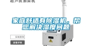 家庭舒适有除湿机，帮您解决湿度问题