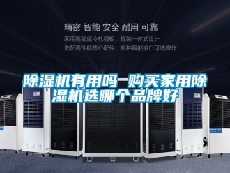 常见问题除湿机有用吗 购买家用除湿机选哪个品牌好