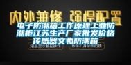 电子防潮箱工作原理工业防潮柜江苏生产厂家批发价格传感器文物防潮箱