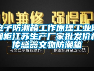 常见问题电子防潮箱工作原理工业防潮柜江苏生产厂家批发价格传感器文物防潮箱