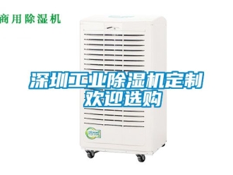 常见问题深圳工业除湿机定制 欢迎选购