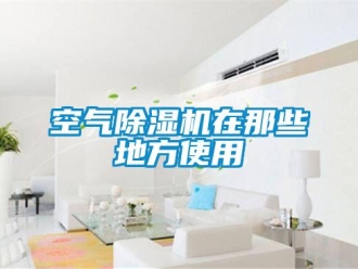 行业新闻空气除湿机在那些地方使用