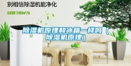 除湿机原理和冰箱一样吗（除湿机原理）
