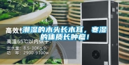 潮湿的木头长木耳，寒湿的体质长肿瘤！