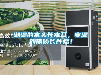 企业新闻潮湿的木头长木耳，寒湿的体质长肿瘤！