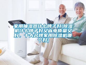 常见问题家用抽湿器什么牌子好(除湿机什么牌子好又省电质量又好，十大名牌家用除湿机哪个好)
