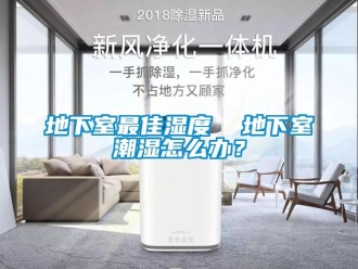 企业新闻地下室最佳湿度  地下室潮湿怎么办？