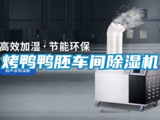 企业新闻烤鸭鸭胚车间除湿机