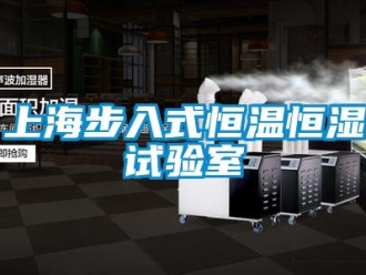 知识百科上海步入式恒温恒湿试验室