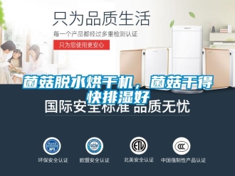 行业新闻菌菇脱水烘干机，菌菇干得快排湿好