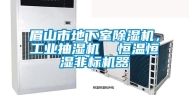 眉山市地下室除湿机，工业抽湿机  恒温恒湿非标机器