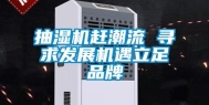 抽湿机赶潮流 寻求发展机遇立足品牌