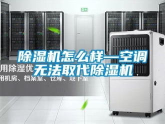 行业新闻除湿机怎么样—空调无法取代除湿机