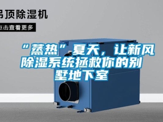 企业新闻“蒸热”夏天，让新风除湿系统拯救你的别墅地下室