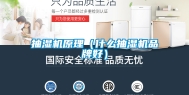 抽湿机原理（什么抽湿机品牌好）
