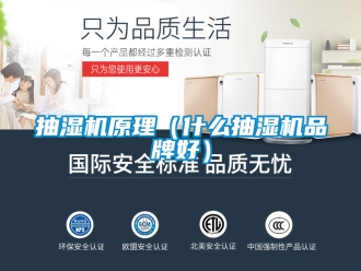 企业新闻抽湿机原理（什么抽湿机品牌好）