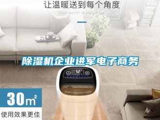 常见问题除湿机企业进军电子商务