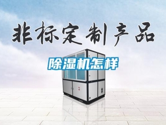 常见问题除湿机怎样
