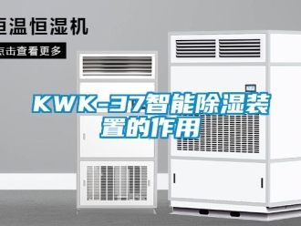 企业新闻KWK-37智能除湿装置的作用