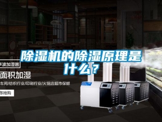 企业新闻除湿机的除湿原理是什么？