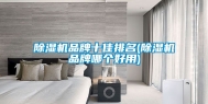 除湿机品牌十佳排名(除湿机品牌哪个好用)