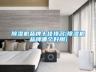 企业新闻除湿机品牌十佳排名(除湿机品牌哪个好用)