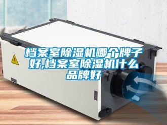 企业新闻档案室除湿机哪个牌子好,档案室除湿机什么品牌好