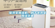 催芽室加湿机，种子发芽室加湿装置