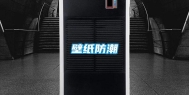 壁纸防潮