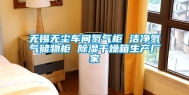 无锡无尘车间氮气柜 洁净氮气储物柜 除湿干燥箱生产厂家