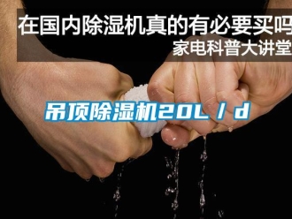 企业新闻吊顶除湿机20L／d