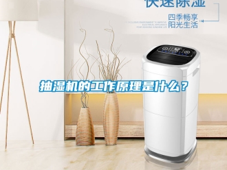 企业新闻抽湿机的工作原理是什么？