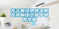 无尘喷漆房除湿机在木制工艺品中很有帮助