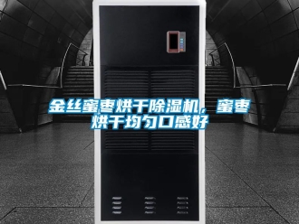 行业新闻金丝蜜枣烘干除湿机，蜜枣烘干均匀口感好