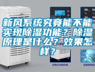 常见问题新风系统究竟能不能实现除湿功能？除湿原理是什么？效果怎样？