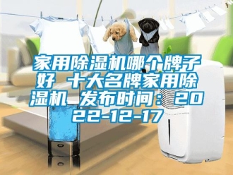 常见问题家用除湿机哪个牌子好 十大名牌家用除湿机 发布时间：2022-12-17