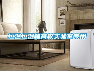 知识百科恒温恒湿箱高校实验室专用