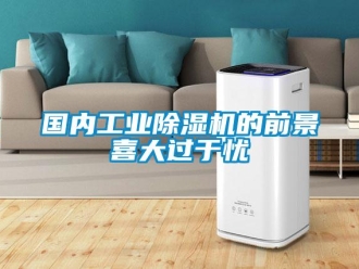 常见问题国内工业除湿机的前景喜大过于忧