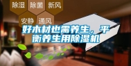 好木材也需养生，平衡养生用除湿机