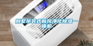 别墅吊装式新风净化除湿一体机