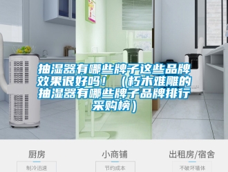 企业新闻抽湿器有哪些牌子这些品牌效果很好吗！（朽木难雕的抽湿器有哪些牌子品牌排行采购榜）