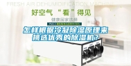 怎样根据冷凝除湿原理来挑选优秀的除湿机？