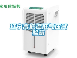 常见问题辽宁高低温低气压试验箱