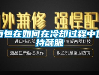 常见问题面包在如何在冷却过程中保持酥脆