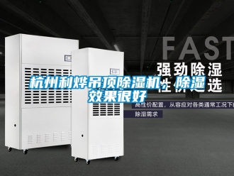 行业新闻杭州利烨吊顶除湿机，除湿效果很好